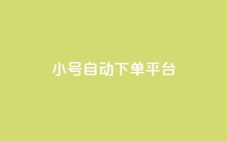 ks小号自动下单平台,QQ动态自动秒赞 - 拼多多自助业务网 - 云上购物商城