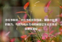 小红书粉丝，小红书粉丝如何涨，解锁小红书的魅力，与百万粉丝互动的秘密亿乐社区低价自营货源站