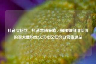 抖音买粉丝，抖音营销策略，揭秘如何用低价购买大量粉丝亿乐社区低价自营货源站