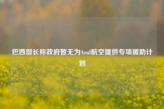 巴西部长称政府暂无为Azul航空提供专项援助计划