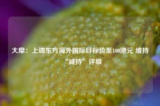 大摩：上调东方海外国际目标价至100港元 维持“减持”评级