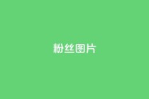 粉丝图片 - 魅力粉丝图集展示各式精彩瞬间!