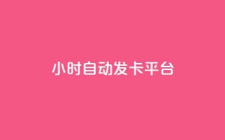24小时自动发卡平台 - 全天候自动发卡系统助您轻松管理订单!