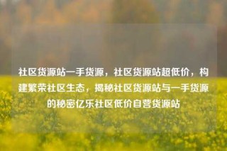 社区货源站一手货源，社区货源站超低价，构建繁荣社区生态，揭秘社区货源站与一手货源的秘密亿乐社区低价自营货源站