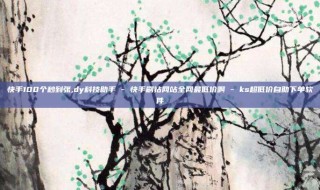 快手100个秒到张,dy科技助手 - 快手刷钻网站全网最低价啊 - ks超低价自助下单软件