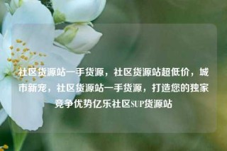 社区货源站一手货源，社区货源站超低价，城市新宠，社区货源站一手货源，打造您的独家竞争优势亿乐社区SUP货源站