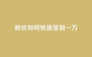 粉丝如何快速涨到一万,ks在线业务 - 哔站业务自助 - dy低价下单平台最便宜