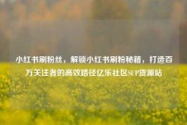 小红书刷粉丝，解锁小红书刷粉秘籍，打造百万关注者的高效路径亿乐社区SUP货源站
