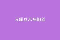 1元3000粉丝不掉粉丝,全网最低ks下单 - 快手自助业务网 - 快手点赞自动链接生成器免费