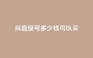 抖音65级号多少钱可以买,玩酷网络自助下单 - 拼多多商家刷10万销量 - 拼多多助力有几层