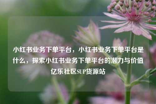小红书业务下单平台，小红书业务下单平台是什么，探索小红书业务下单平台的潜力与价值亿乐社区SUP货源站  第1张