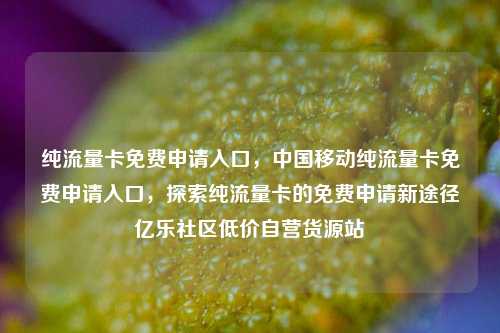 纯流量卡免费申请入口，中国移动纯流量卡免费申请入口，探索纯流量卡的免费申请新途径亿乐社区低价自营货源站  第1张
