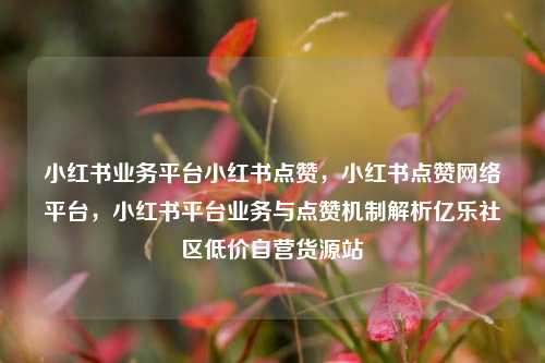 小红书业务平台小红书点赞，小红书点赞网络平台，小红书平台业务与点赞机制解析亿乐社区低价自营货源站  第1张