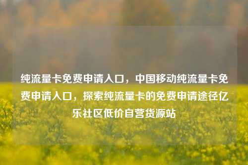 纯流量卡免费申请入口，中国移动纯流量卡免费申请入口，探索纯流量卡的免费申请途径亿乐社区低价自营货源站  第1张
