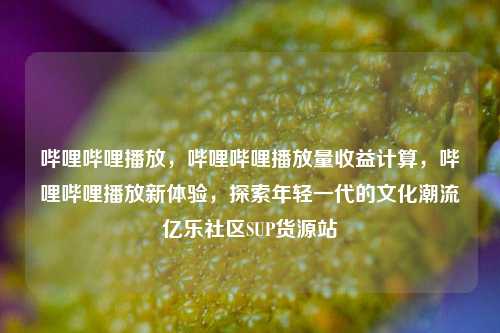 哔哩哔哩播放，哔哩哔哩播放量收益计算，哔哩哔哩播放新体验，探索年轻一代的文化潮流亿乐社区SUP货源站  第1张