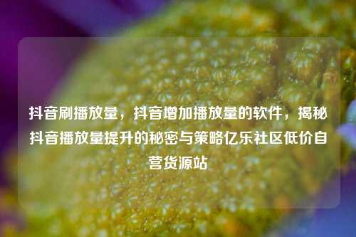 抖音刷播放量，抖音增加播放量的软件，揭秘抖音播放量提升的秘密与策略亿乐社区低价自营货源站  第1张