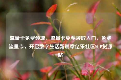 流量卡免费领取，流量卡免费领取入口，免费流量卡，开启数字生活新篇章亿乐社区SUP货源站  第1张