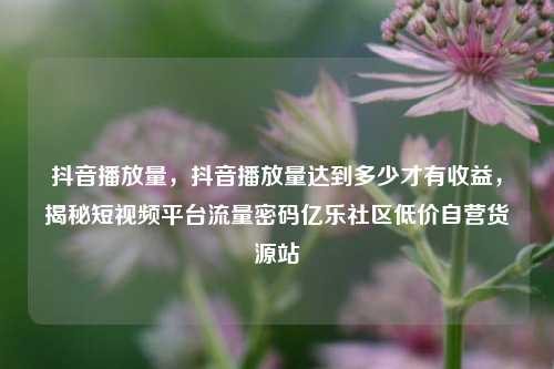 抖音播放量，抖音播放量达到多少才有收益，揭秘短视频平台流量密码亿乐社区低价自营货源站  第1张