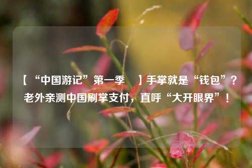【“中国游记”第一季㉗】手掌就是“钱包”？老外亲测中国刷掌支付，直呼“大开眼界”！  第1张