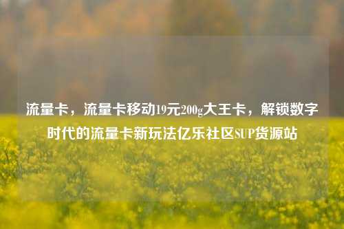 流量卡，流量卡移动19元200g大王卡，解锁数字时代的流量卡新玩法亿乐社区SUP货源站  第1张