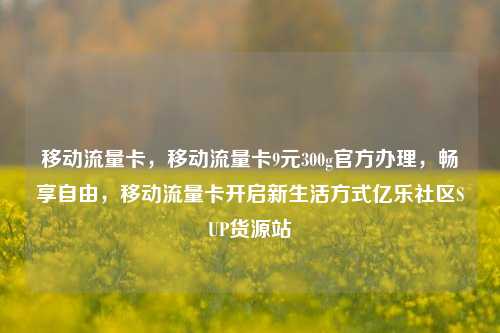 移动流量卡，移动流量卡9元300g官方办理，畅享自由，移动流量卡开启新生活方式亿乐社区SUP货源站  第1张