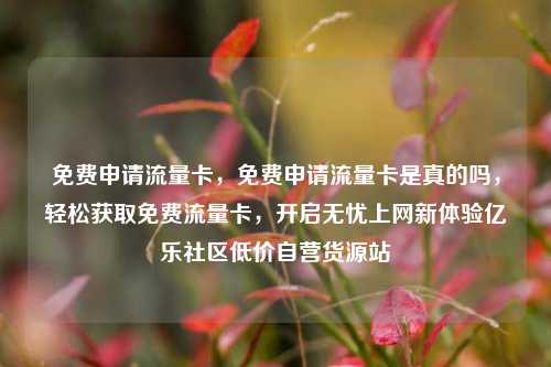 免费申请流量卡，免费申请流量卡是真的吗，轻松获取免费流量卡，开启无忧上网新体验亿乐社区低价自营货源站  第1张