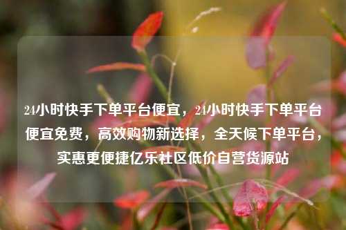 24小时快手下单平台便宜，24小时快手下单平台便宜免费，高效购物新选择，全天候下单平台，实惠更便捷亿乐社区低价自营货源站  第1张