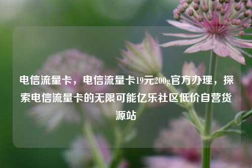 电信流量卡，电信流量卡19元200g官方办理，探索电信流量卡的无限可能亿乐社区低价自营货源站  第1张