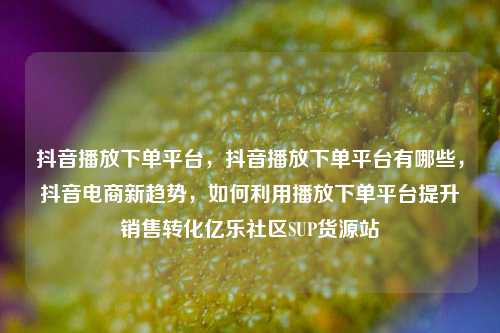 抖音播放下单平台，抖音播放下单平台有哪些，抖音电商新趋势，如何利用播放下单平台提升销售转化亿乐社区SUP货源站  第1张