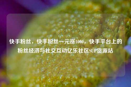 快手粉丝，快手粉丝一元涨1000，快手平台上的粉丝经济与社交互动亿乐社区SUP货源站  第1张