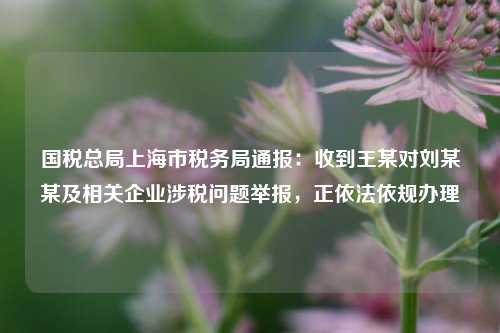 国税总局上海市税务局通报：收到王某对刘某某及相关企业涉税问题举报，正依法依规办理  第1张