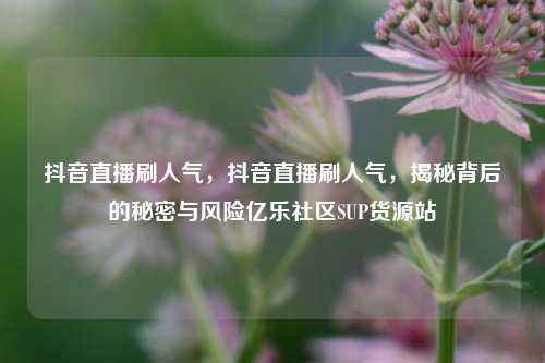 抖音直播刷人气，抖音直播刷人气，揭秘背后的秘密与风险亿乐社区SUP货源站  第1张