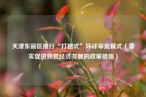 天津东丽区推行“打捆式”环评审批模式（落实促进民营经济发展的政策措施）  第1张
