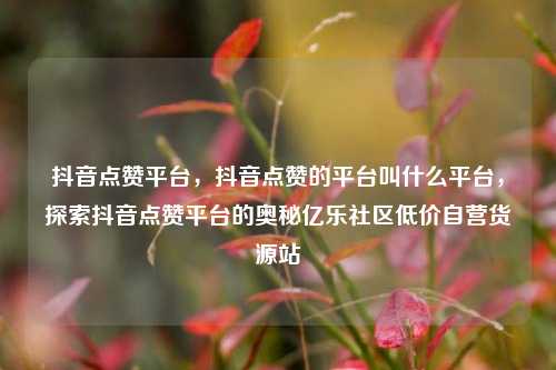抖音点赞平台，抖音点赞的平台叫什么平台，探索抖音点赞平台的奥秘亿乐社区低价自营货源站  第1张