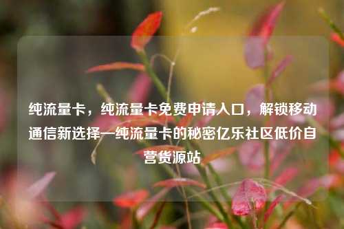 纯流量卡，纯流量卡免费申请入口，解锁移动通信新选择—纯流量卡的秘密亿乐社区低价自营货源站  第1张
