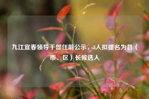 九江宜春领导干部任前公示，3人拟提名为县（市、区）长候选人  第1张