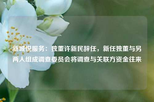 新城悦服务：独董许新民辞任，新任独董与另两人组成调查委员会将调查与关联方资金往来  第1张