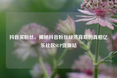 抖音买粉丝，揭秘抖音粉丝经济背后的真相亿乐社区SUP货源站  第1张