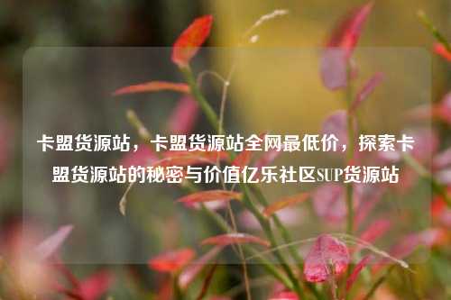 卡盟货源站，卡盟货源站全网最低价，探索卡盟货源站的秘密与价值亿乐社区SUP货源站  第1张