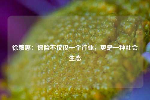 徐敬惠：保险不仅仅一个行业，更是一种社会生态  第1张