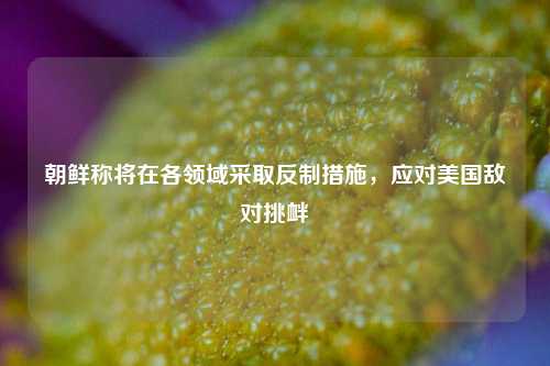 朝鲜称将在各领域采取反制措施，应对美国敌对挑衅  第1张