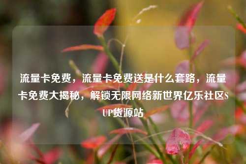 流量卡免费，流量卡免费送是什么套路，流量卡免费大揭秘	，解锁无限网络新世界亿乐社区SUP货源站  第1张