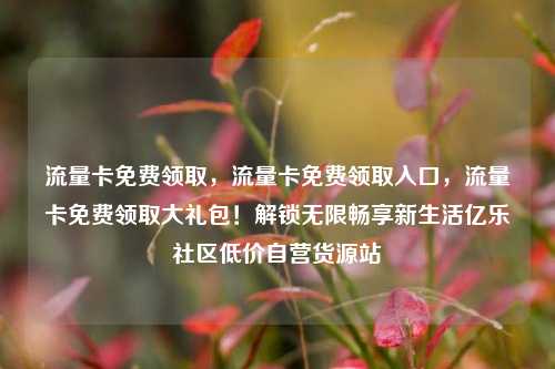 流量卡免费领取，流量卡免费领取入口	，流量卡免费领取大礼包！解锁无限畅享新生活亿乐社区低价自营货源站  第1张