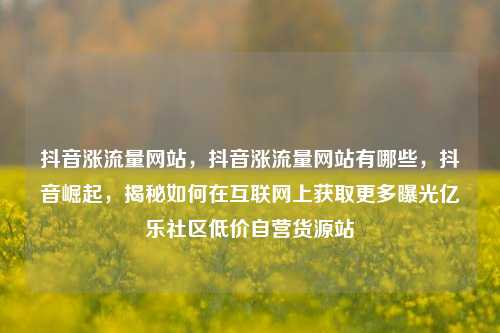 抖音涨流量网站，抖音涨流量网站有哪些，抖音崛起	，揭秘如何在互联网上获取更多曝光亿乐社区低价自营货源站  第1张