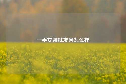 一手女装批发网怎么样  第1张