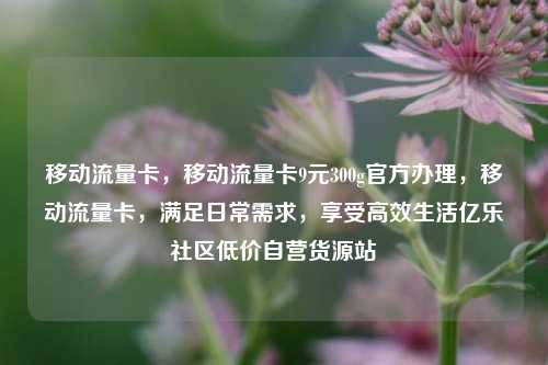 移动流量卡，移动流量卡9元300g官方办理	，移动流量卡，满足日常需求，享受高效生活亿乐社区低价自营货源站  第1张