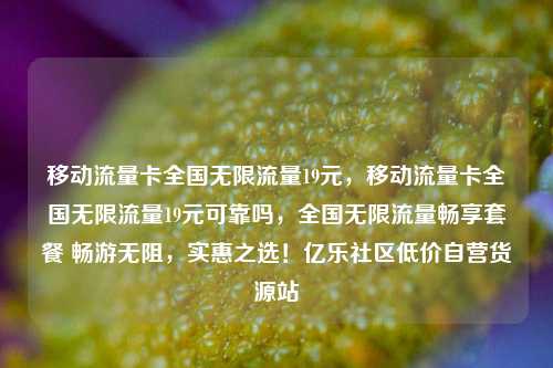 移动流量卡全国无限流量19元，移动流量卡全国无限流量19元可靠吗，全国无限流量畅享套餐 畅游无阻，实惠之选！亿乐社区低价自营货源站  第1张
