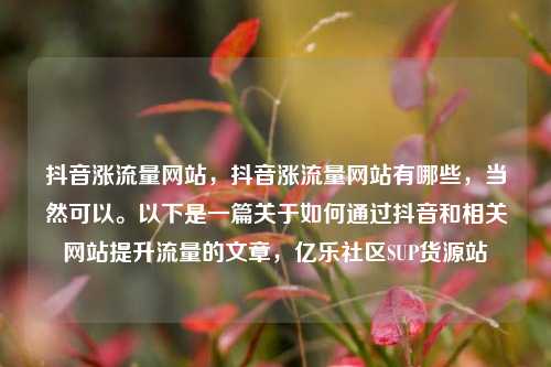 抖音涨流量网站，抖音涨流量网站有哪些，当然可以。以下是一篇关于如何通过抖音和相关网站提升流量的文章	，亿乐社区SUP货源站  第1张