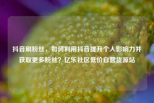 抖音刷粉丝	，如何利用抖音提升个人影响力并获取更多粉丝？亿乐社区低价自营货源站  第1张