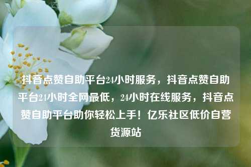 抖音点赞自助平台24小时服务，抖音点赞自助平台24小时全网最低，24小时在线服务	，抖音点赞自助平台助你轻松上手！亿乐社区低价自营货源站  第1张